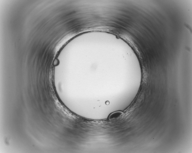 X0000102270952200808151901