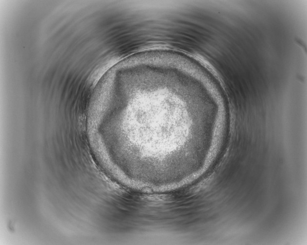 X0000102270953200808151901