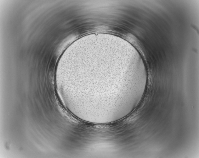 X0000102270954200808151901