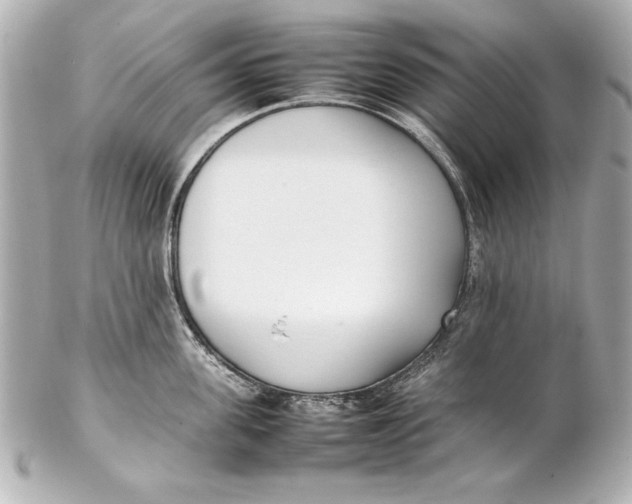 X0000102270955200808151901