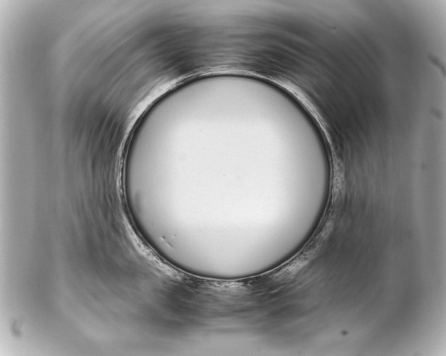 X0000102270957200808151901