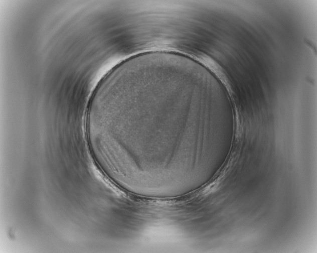 X0000102270958200808151901