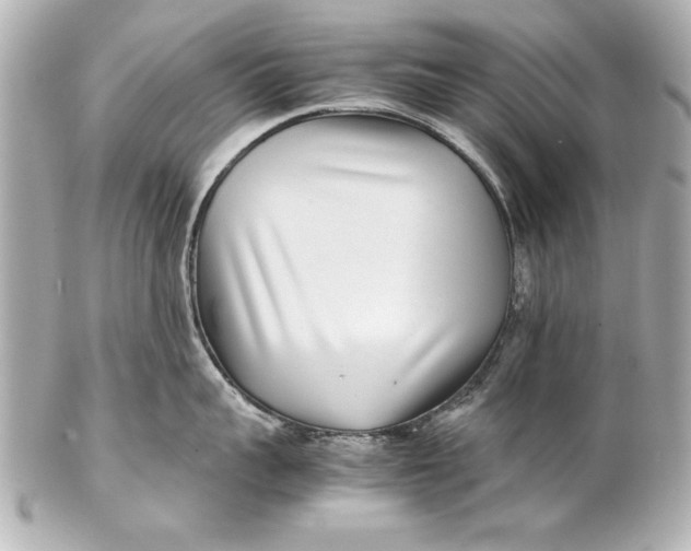 X0000102270959200808151901