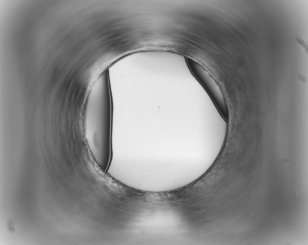 X0000102270960200808151901