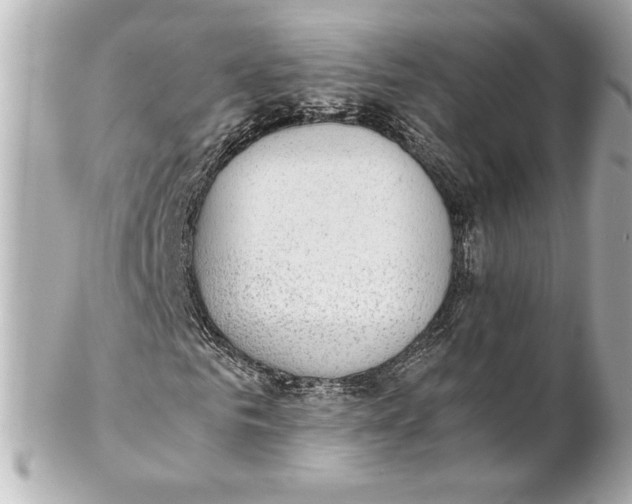 X0000102270961200808151900