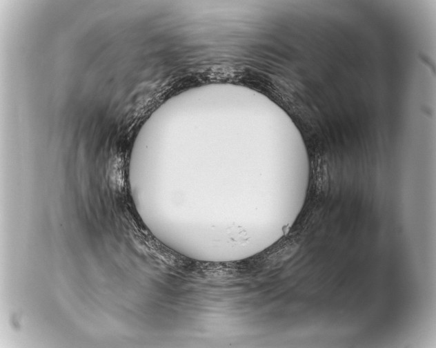 X0000102270962200808151900