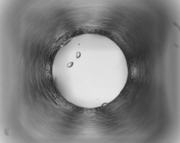 X0000102270964200808151900