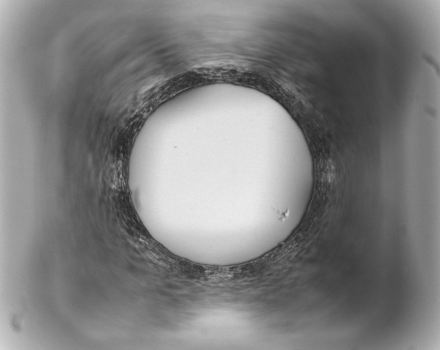 X0000102270965200808151900