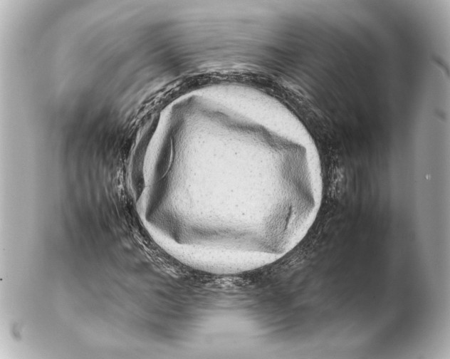 X0000102270966200808151900