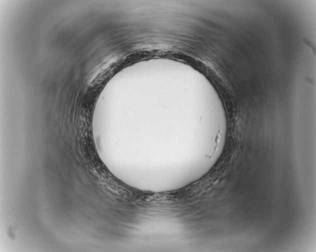 X0000102270967200808151900