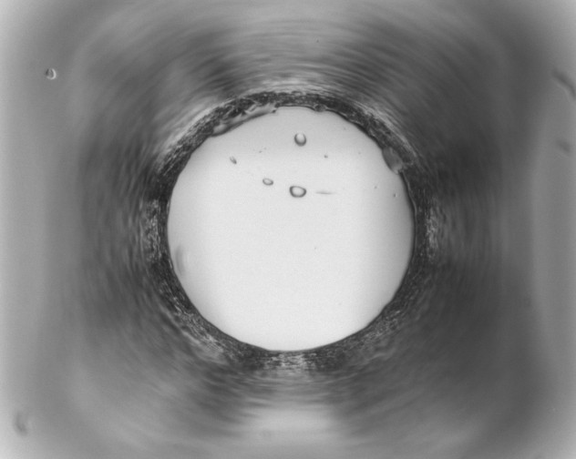 X0000102270968200808151900