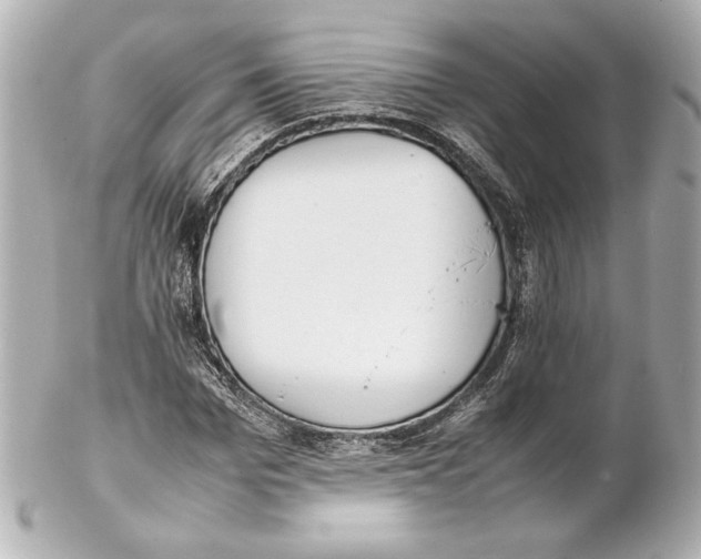 X0000102270969200808151900