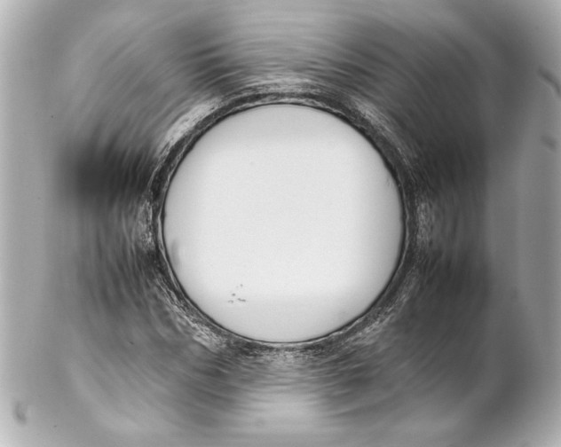 X0000102270970200808151900