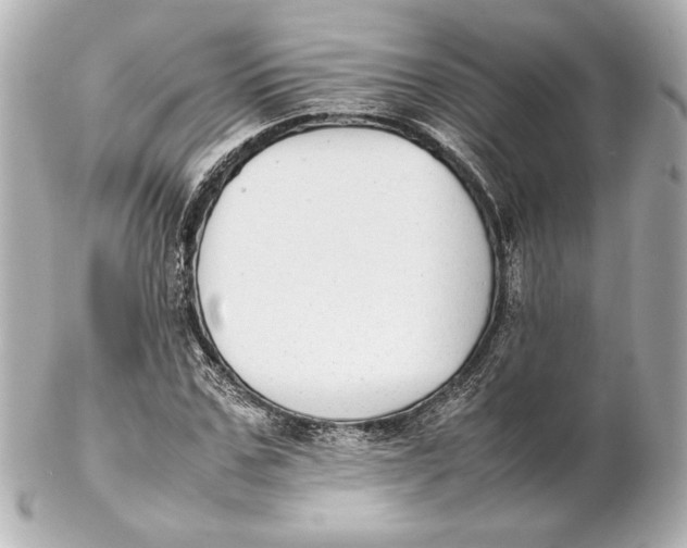 X0000102270971200808151900