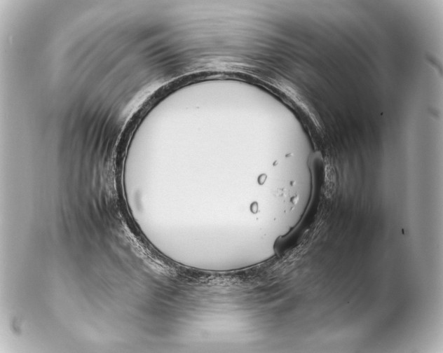 X0000102270972200808151900