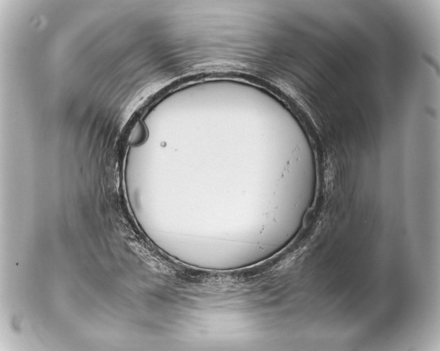 X0000102270973200808151900