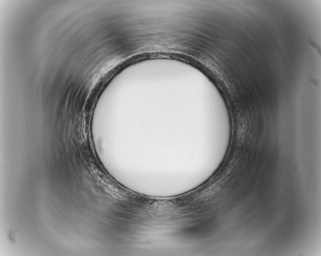 X0000102270974200808151900