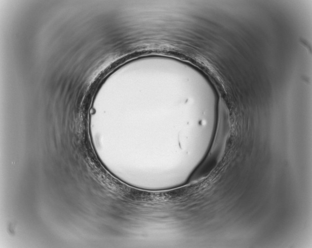 X0000102270975200808151900