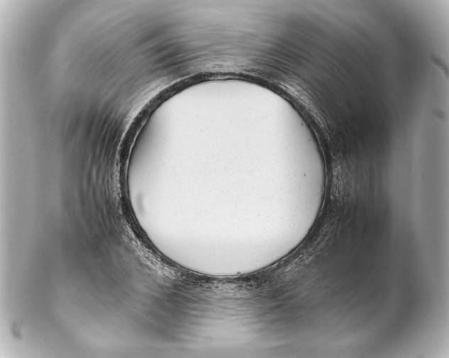 X0000102270976200808151900