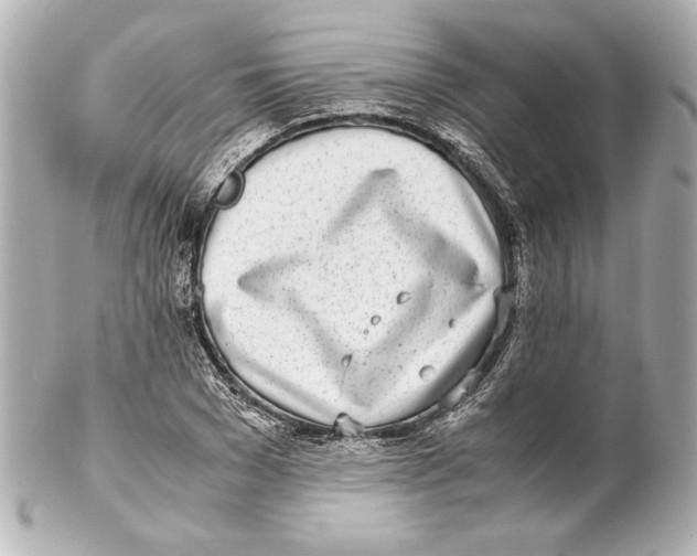 X0000102270977200808151900