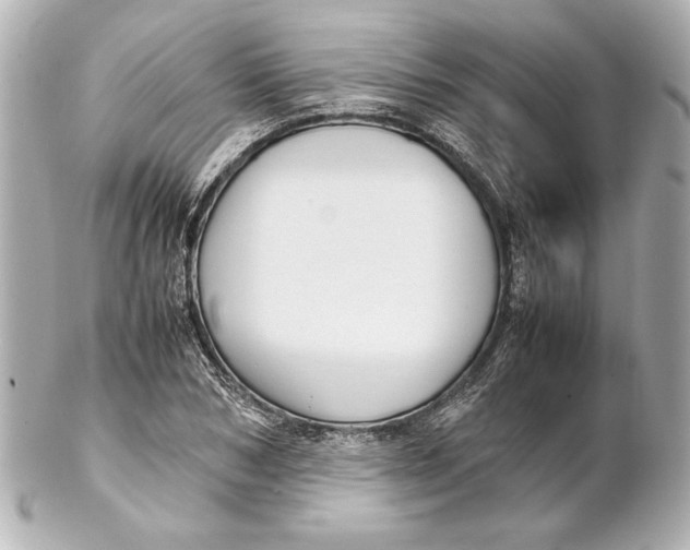 X0000102270978200808151900