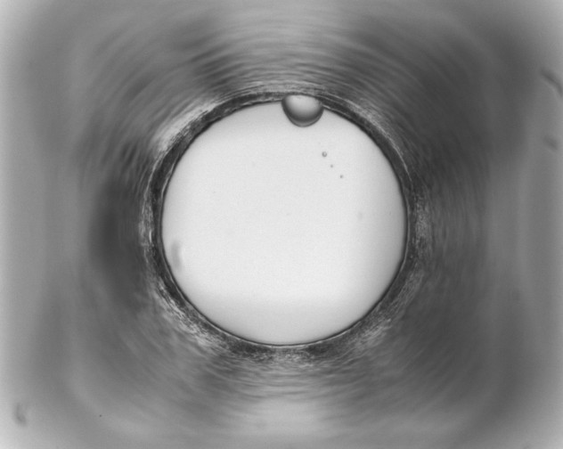 X0000102270979200808151900