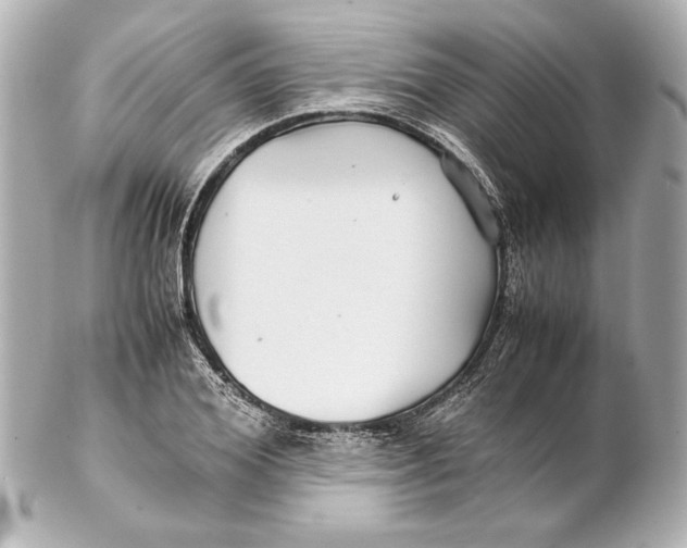 X0000102270980200808151900