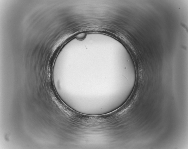 X0000102270981200808151900