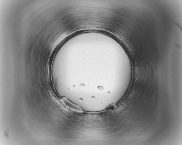 X0000102270982200808151900