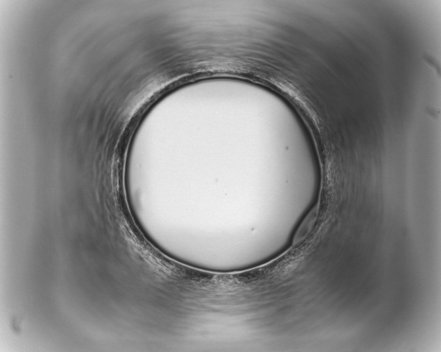 X0000102270983200808151900