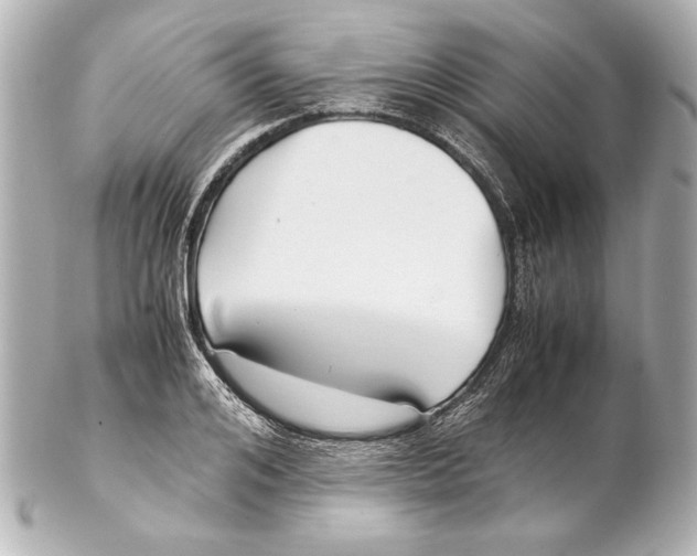 X0000102270984200808151900