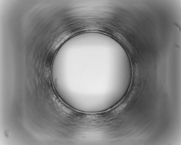 X0000102270985200808151900