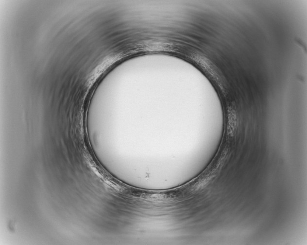 X0000102270986200808151900