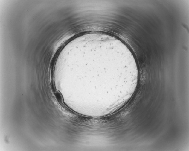 X0000102270987200808151900