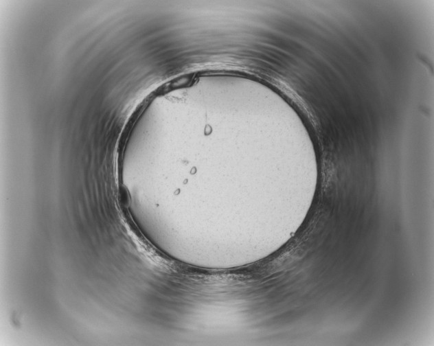 X0000102270988200808151900