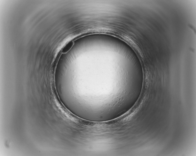 X0000102270989200808151900