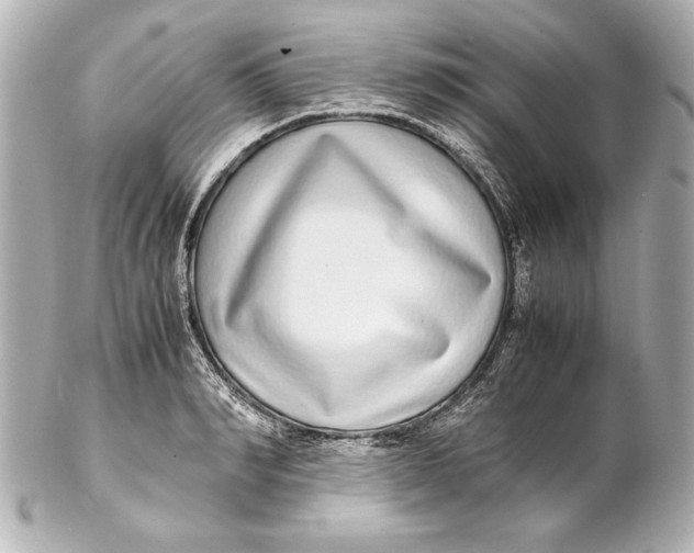 X0000102270990200808151900