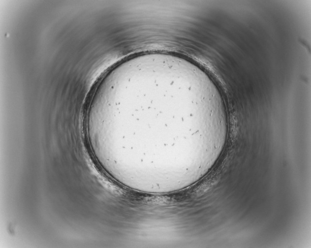 X0000102270991200808151900