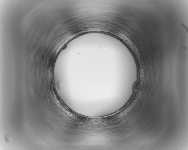 X0000102270993200808151900