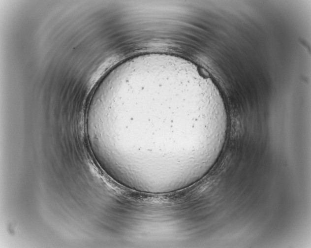 X0000102270994200808151900