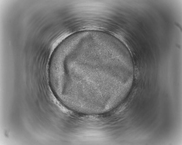 X0000102270995200808151900