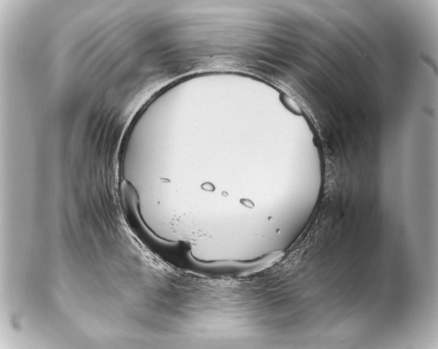 X0000102270996200808151900