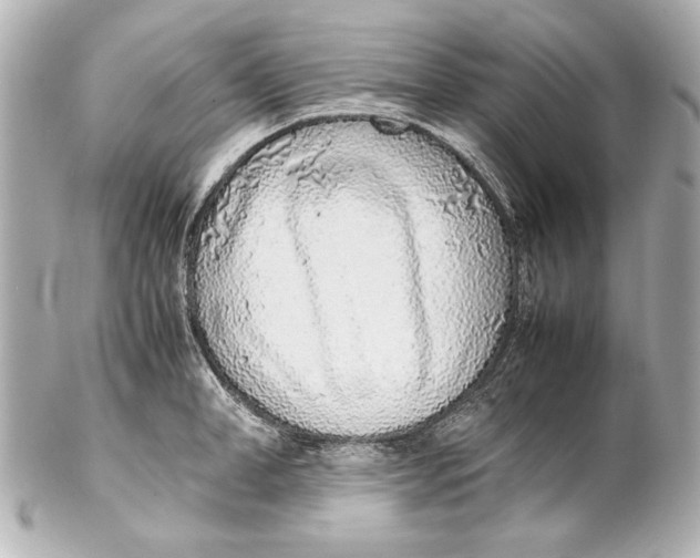 X0000102270998200808151900