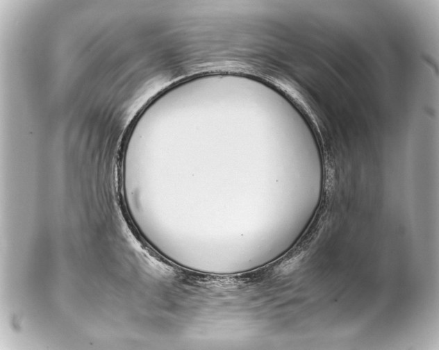 X0000102270999200808151900