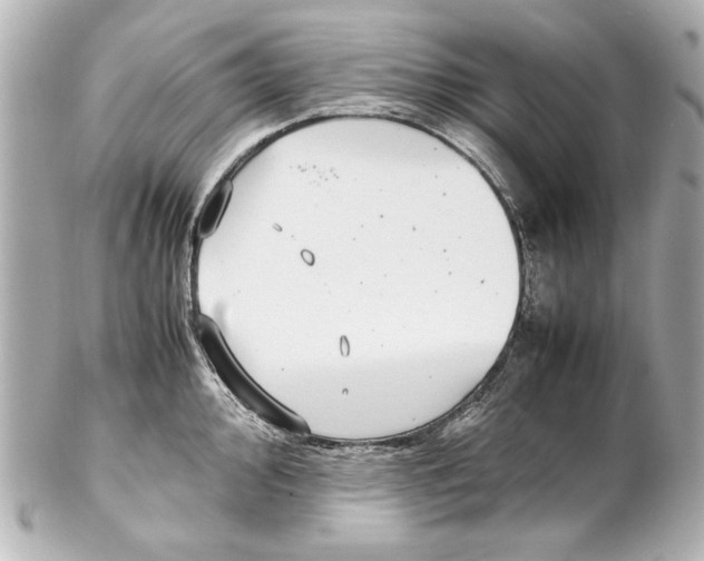 X0000102271000200808151900