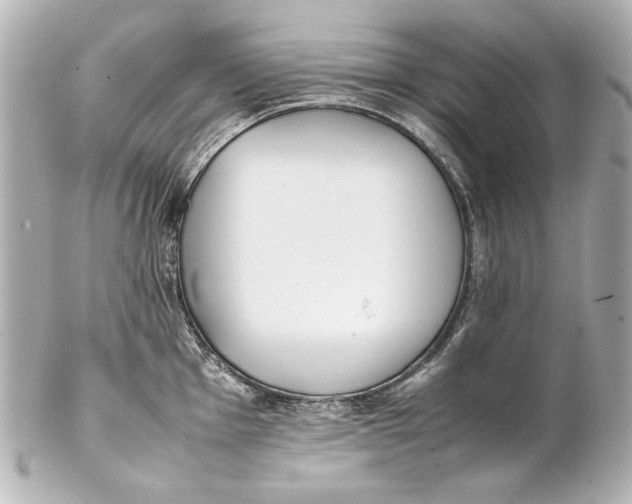 X0000102271001200808151900