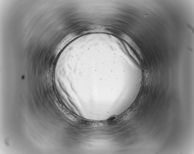 X0000102271002200808151900