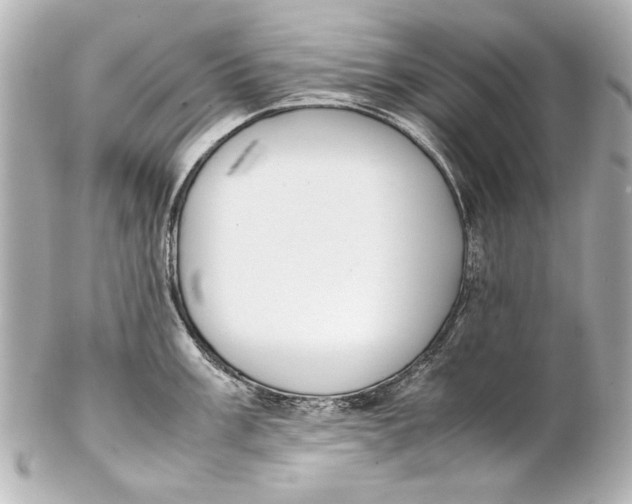 X0000102271003200808151900