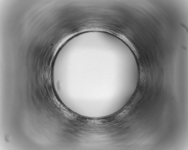 X0000102271004200808151900