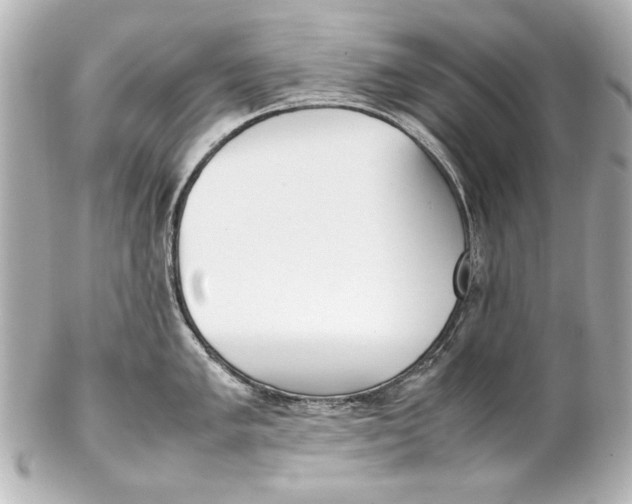 X0000102271005200808151900